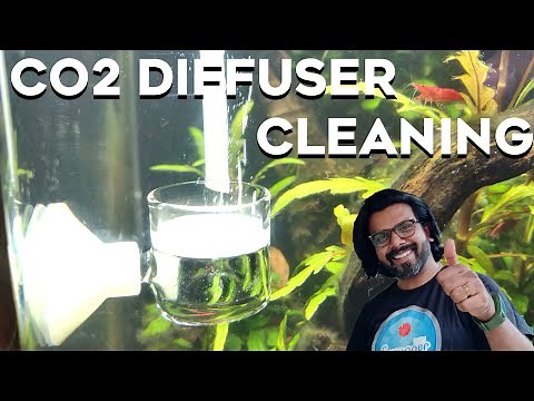 CO2 Diffuser Cleaning in Planted Aquarium || Fish Tank Maintenance