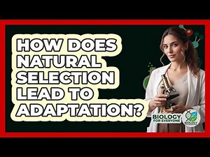 How Does Natural Selection Lead To Adaptation?