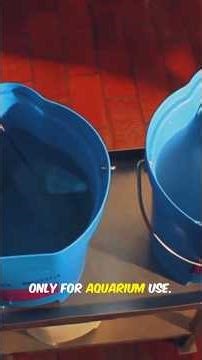 These 4 Tools Are All Your Fish Tank Actually Needs #aquariumtips #fishkeeping #setup