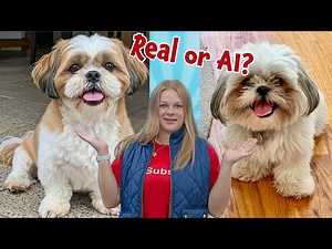 Assistant Challenges Mrs Engineer To Spot the AI Fake Funny Animal Videos - Videos For Kids