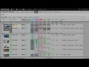 Connection Entities in Shotgun Software
