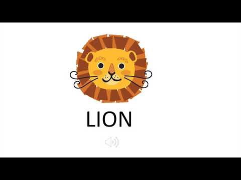 Part 2: Identify High and Low Sounds in everyday life!