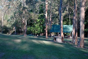 Brisbane's Best Public Bbq Spots | Must Do Brisbane