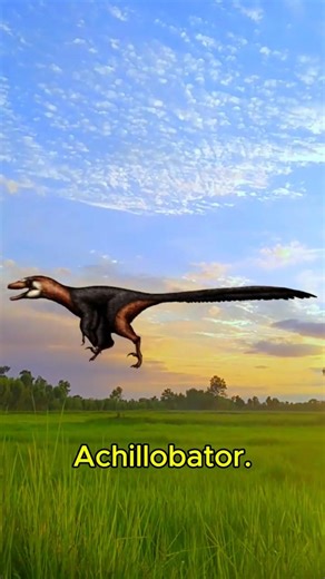 Achillobator (Greek/Mongolian for "Achilles hero") #dinosaur #relaxing #viral #foryou #fyp #fun