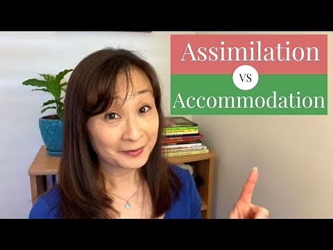 Assimilation vs Accommodation
