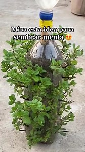 1.2M views · 26K reactions | Curso Online de Jardineria y...