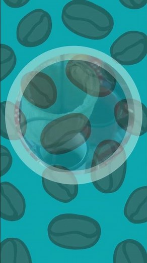 Primula Cold Brew Coffee Maker Recipe - Easy and Delicious!