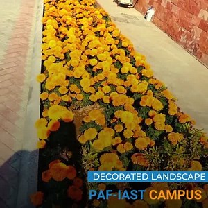 PAF-IAST located in Haripur, Khyber Pakhtunkhwa aspires to be an exemplary national leader in creating effective skill-oriented education to prepare diverse, industrious and career-ready graduates for success in a global and interdependent society. Students enjoy on-campus facilities like natural lake, expansive tennis courts, soccer and cricket fields along with a beautiful landscape. #PafIast #Pakaustria #Academic #SkillingPakistan #Sports #scenicbeauty | Pak Austria Fachhochschule