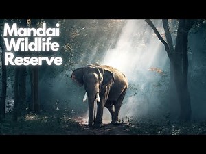 Singapore Zoo & Night Safari - Map Guide with All Show Details & Timings