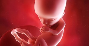 Your pregnancy: 13 weeks pregnant - Netmums