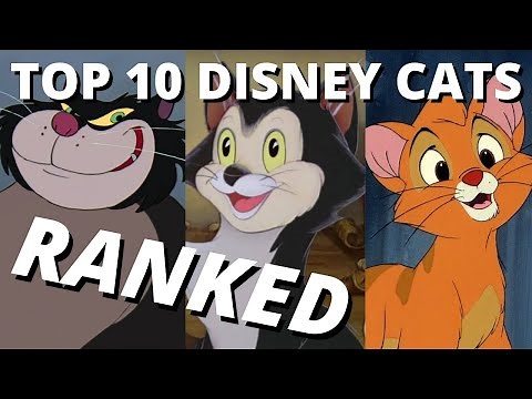 Top 10 Disney Cats - RANKED