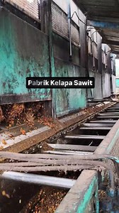 Ini adalah stasiun loading ramp di pabrik kelapa sawit (pks) berfungsi untuk pemeriksaan kualitas TBS, memastikan buah yang masuk segar dan berkualitas. #fyp #viralreels #fashion #handmade #fypchallenge #pmks #sawit | Dovian S Ramos