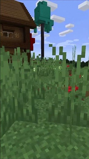 Minecraft Roads Before and After