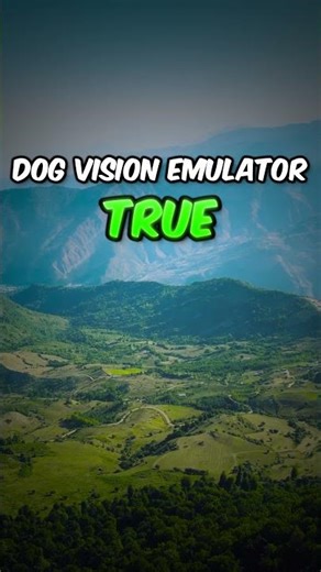 Do Dogs ACTUALLY See Color? 🤔😯 #shorts #dog #dogfacts