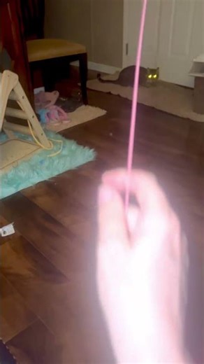 Mr T Cat ASMR- “Still the cutest Alien Eyes!” (Silly singing)