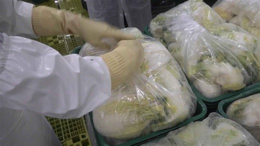How Kimchi is Made in a Modern Food Plant