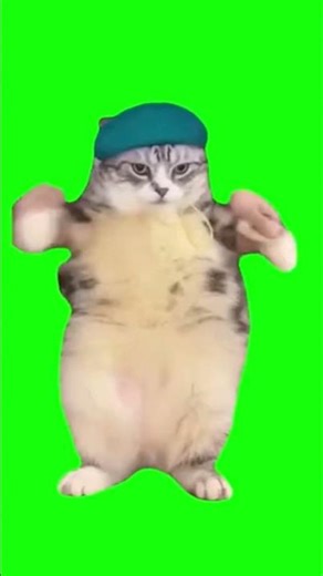 me after finding ruby chest in day 1 #Roblox #99 night at forest