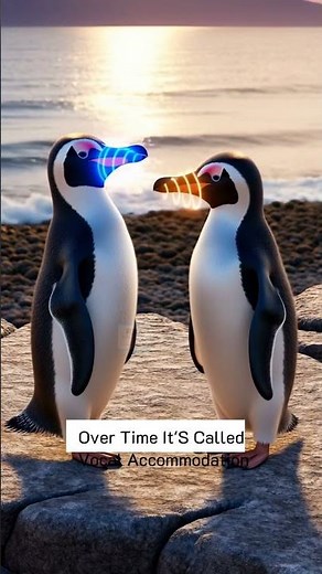 African Penguins Show Vocal Accommodation Over Time #facts