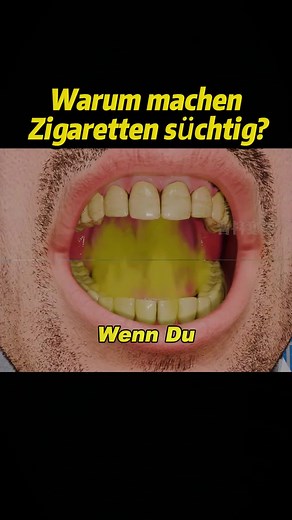 Understanding the Principles of Wissenschaft in Deutschland