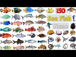 Sea Fish Vocabulary ll 150 Sea Fishes Name in English With Pictures ll List of Saltwater Fish