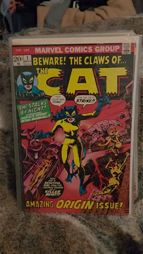 Exploring the World of Comics Collecting