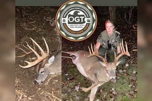 Authorities Seeking Leads on Pennsylvania 12-Point Deer Poached and Left to Rot
