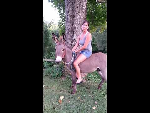 First Ride on New Donkey