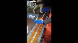 10K views · 172 reactions | We just completed our fall electrofishing sampling of the Green River. We successfully sampled more than 700 fish this week, including a 23.4-inch, 6-pound brown trout! Here's a peek at the process. | Utah Division of Wildlife Resources | Facebook