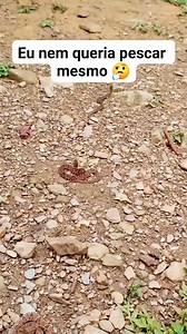 Pescar pra que 🤔 | Egon Neves
