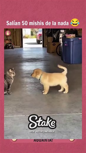 ¿Estás lejos de casa? Esto es Brasil