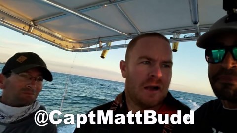 Why This Fish Costs a Fortune - The Shocking Truth Behind Its Price