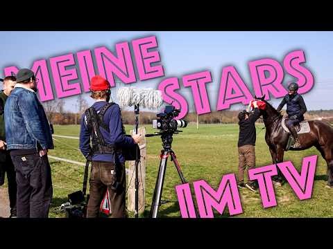 Jungpferd Vava: Das Problem mit der Nase – Hof-Update