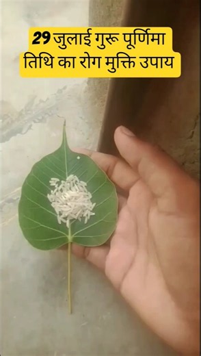 July 29 Guru Purnima Remedy for Freedom from Disease. Purnima Date Remedy for Freedom from Diseas...