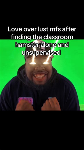 The hopeless hamster #meme #funny #fyp #classpet #gif | hamster