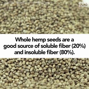 519K views · 8.5K reactions | Hemp is one of the most nutritionally complete food sources in the world. #LIWTS #LegalizeItWeThinkSo | Legalize It. We Think So. | Facebook