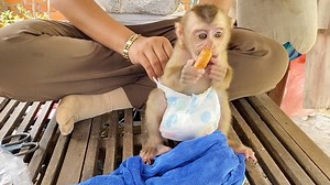 4.3K views · 140 reactions | Mom Always Has A Trick With DAM To Stop Him Messy While Change Diaper For Him | Pigtail Monkey Daily | Facebook