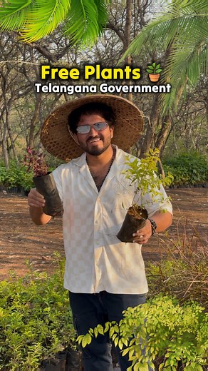 293K views · 903 reactions | Free Plants 華 by Telangana Govt individuals can approach nurseries and can collect small quantities like (5plants) by showing aadhar id xerox & filling an acknowledgement from which is available in nursries if more than 100 plants,please mail an application letter to ✉️: directoruf@gmail.com #Telangana #HMDA #Hyderabad #Plants #FreePlants | Uday Royce | Facebook