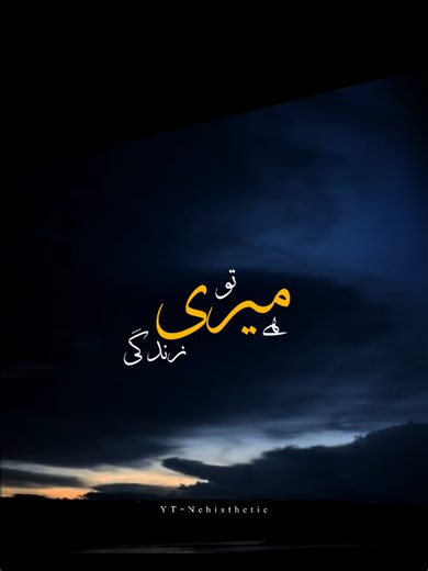 Meri Zindagi Hai Tu - Heartfelt Drama OST