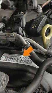 VW Volkswagen / Audi Software ECU Number Checking When Programming & Updating Control Modules