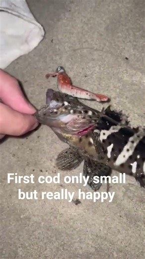 first cod. #fishing #fyp #viral