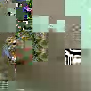 173K views · 150 shares | Pangasius Fish (Pangas) Cooking Recipe Video Credit: Village Food Life #Food #Fish #Cooking #Recipe | Village Food Life | Facebook