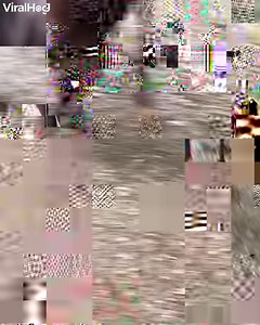 39K views · 262 reactions | If you take your car to a drive-thru zoo, damage is possible. | ViralHog | Facebook