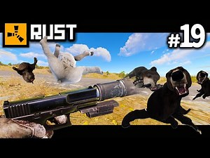 グロック単発モードがキルタイム最強。動物を狩りまくり、燃料を入手し次の戦いに備える。【RUST実況】