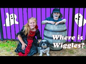 Assistant Hunt for Wiggles with Incredibles Baby Jack and Paw Patrol