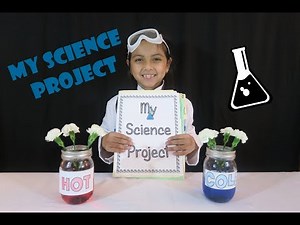 My 2nd Grade Science Project