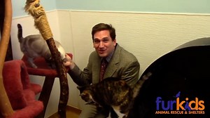 Animal Shelter Spoof Ad Goes Viral