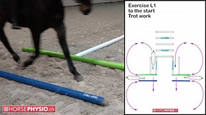 1.5K views · 2.5K shares | Leichtes Training um die Pferde auch durch den Winter fit zu halten.. Easy training for the horses... Entraînement facile d'hiver pour les chevaux.... | Horsephysio | Facebook