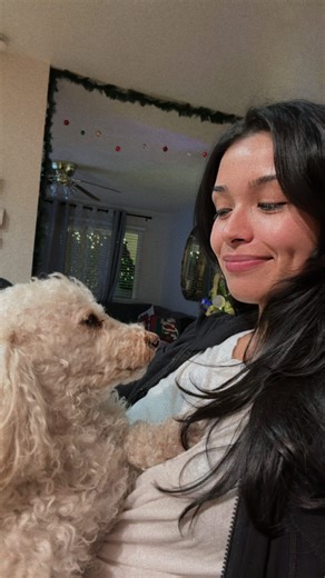 Amanda Castillo on Instagram: "my family lost an angel this morning. rest easy, Suzie girl 🤍 we’re going to miss you so much"