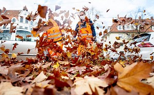 Are You Using a Leaf Blower to Clean Your Car?
