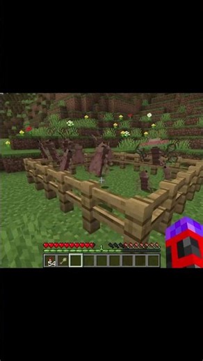 Alex's mobs #minecraft #minecraftmods